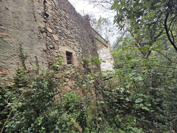 Land In Susqueda, Spain (23.641 M² Plot)
