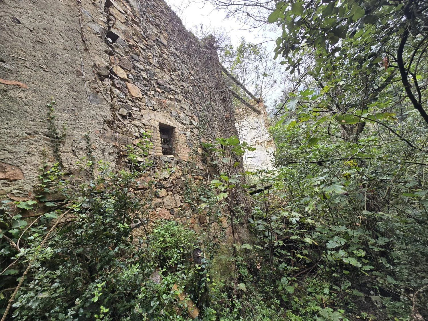Land Of 0 M² In Susqueda, Spain