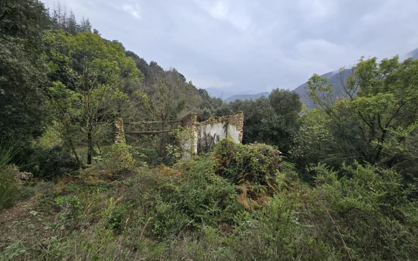Land In Susqueda, Spain (23.641 M² Plot)