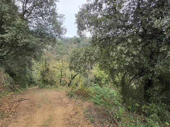 Land In Susqueda, Spain (23.641 M² Plot)