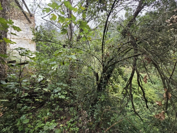 Land In Susqueda, Spain (23.641 M² Plot)