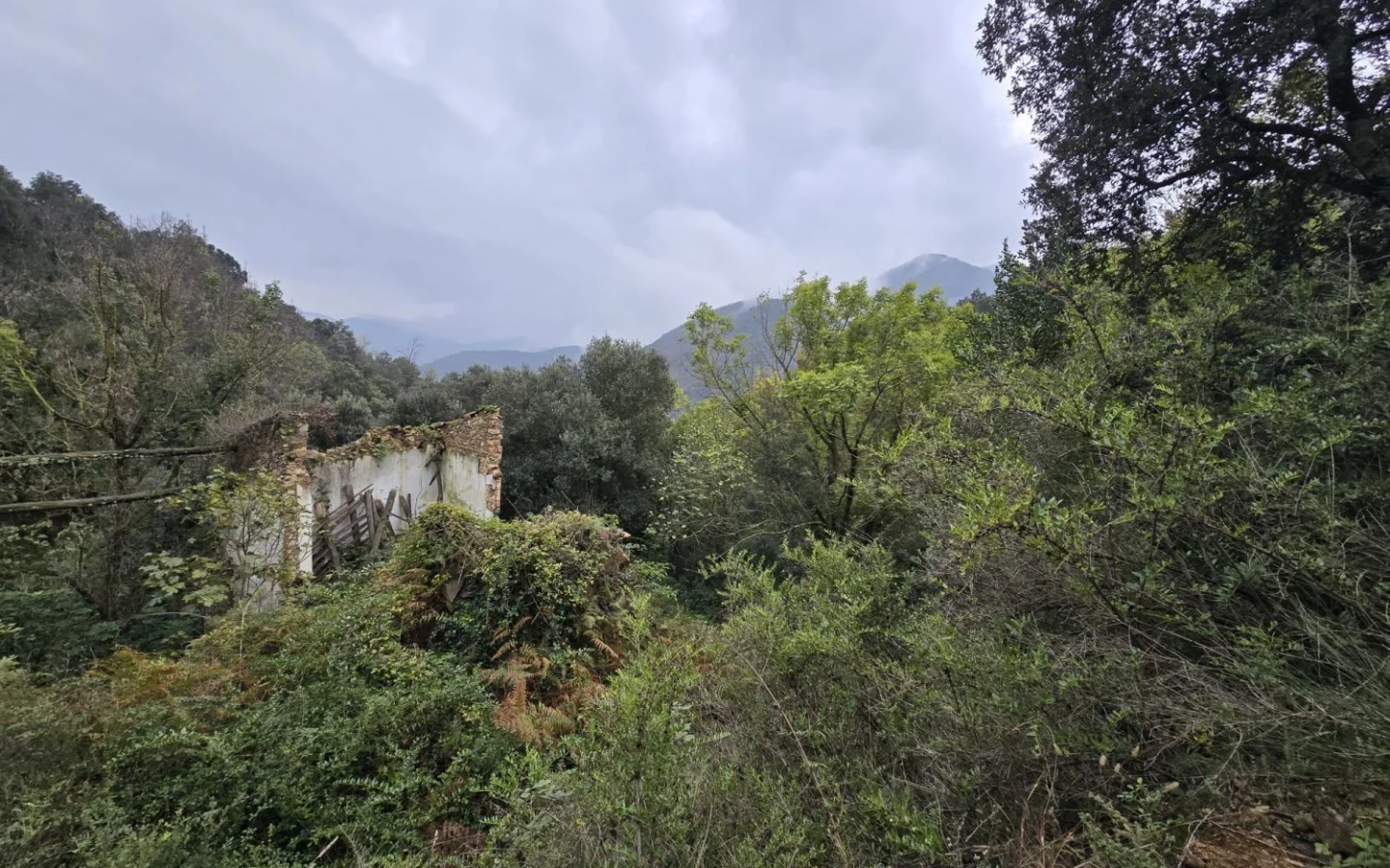 Land In Susqueda, Spain (23.641 M² Plot)