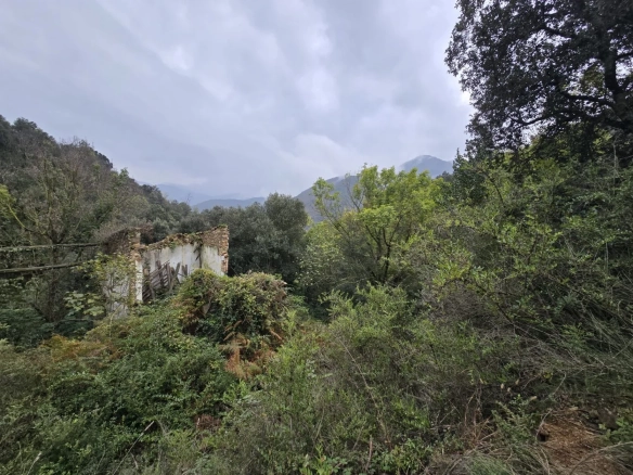 Land In Susqueda, Spain (23.641 M² Plot)
