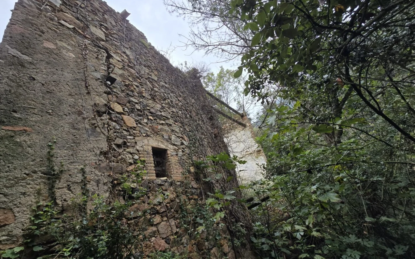 Land In Susqueda, Spain (23.641 M² Plot)
