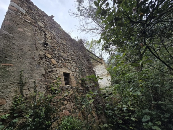 Land In Susqueda, Spain (23.641 M² Plot)