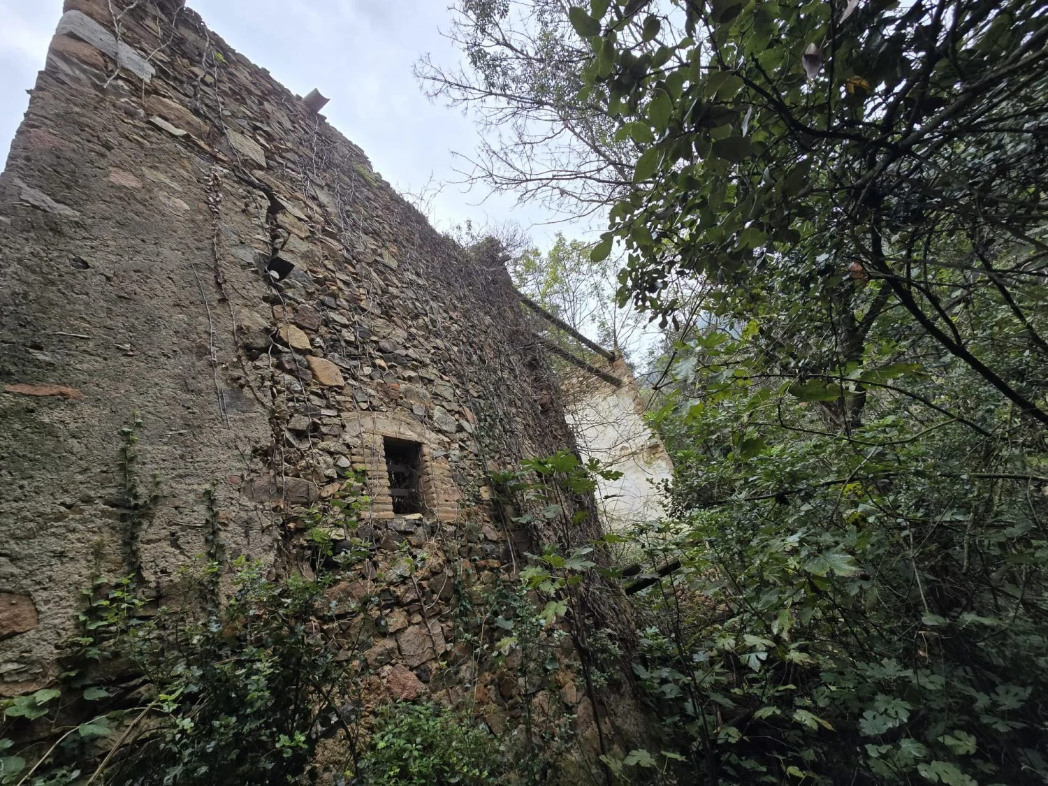 Land Of 0 M² In Susqueda, Spain