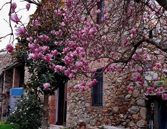 5-bedroom Countryhouse In Sant Gregori, Spain (590 M²)