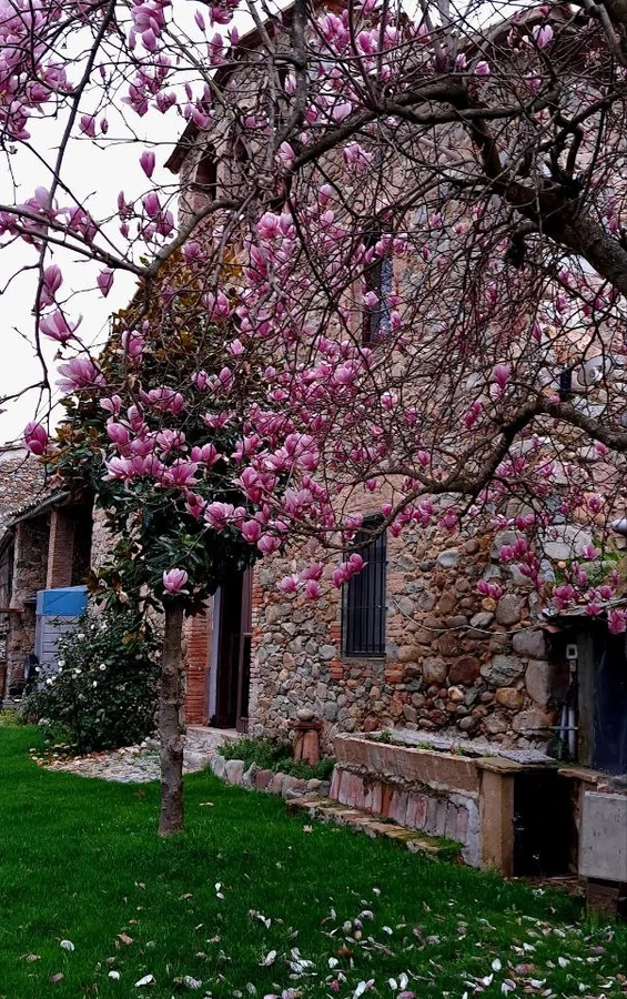 5-bedroom Countryhouse In Sant Gregori, Spain (590 M²)