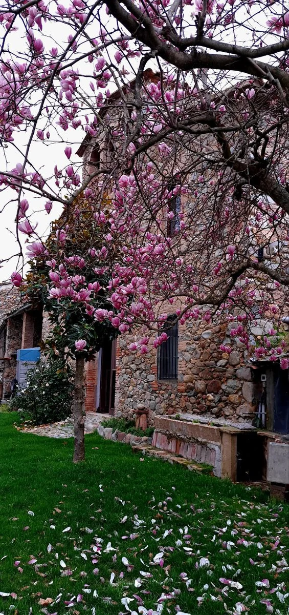 Country House Of 590 M² In Sant Gregori, Spain