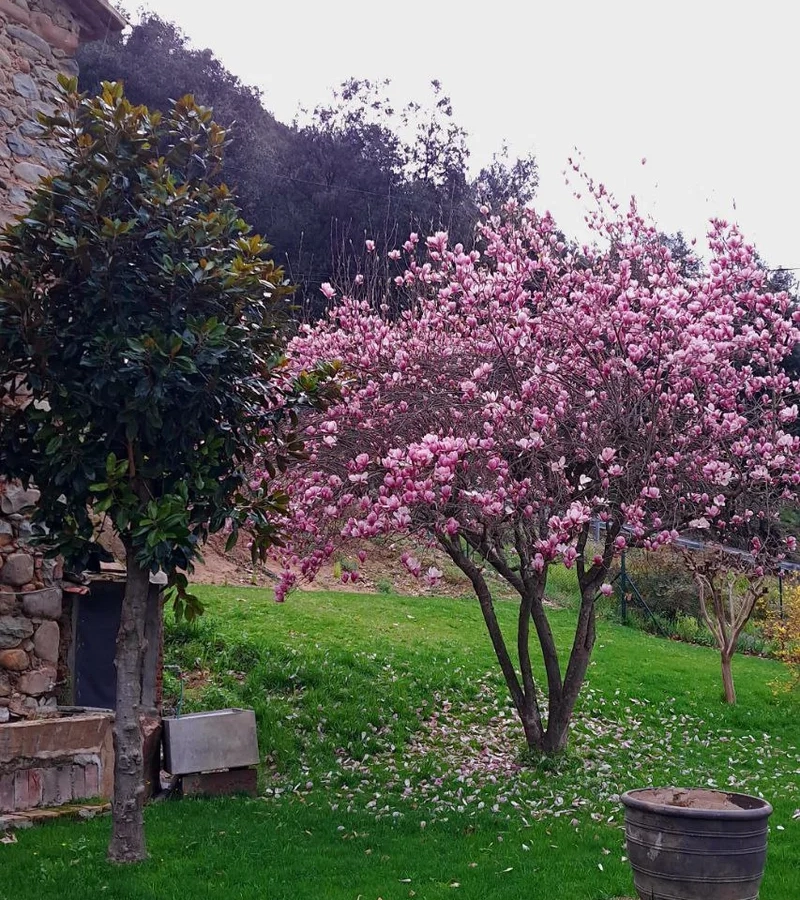 5-bedroom Countryhouse In Sant Gregori, Spain (590 M²)