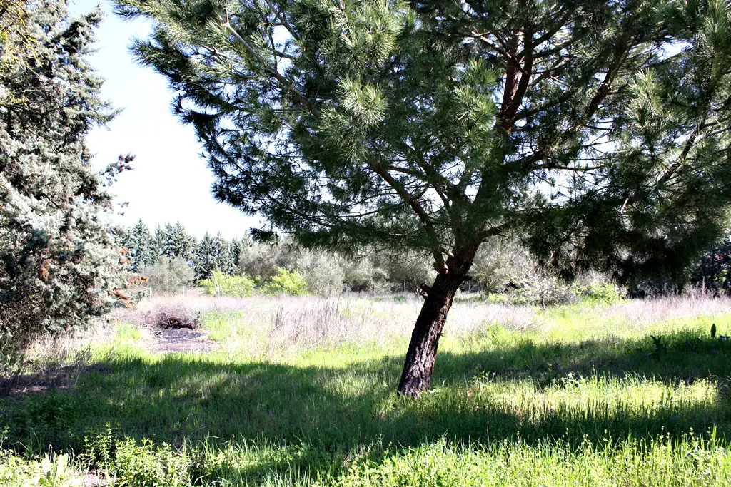 Villa Of 320 M² In The Suburbs Of Thessaloniki