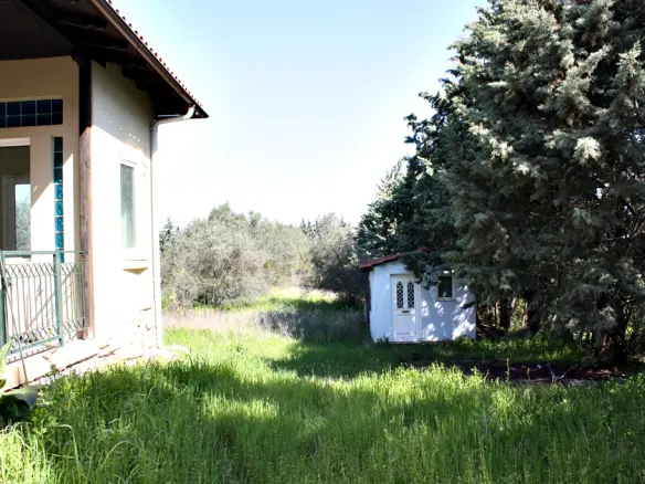 Villa Of 320 M² In The Suburbs Of Thessaloniki