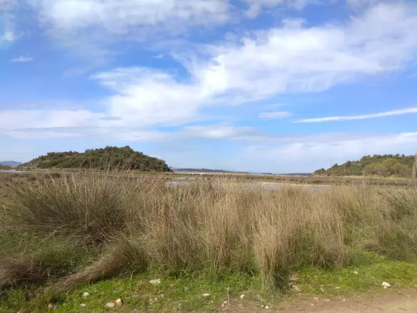 Land In Sithonia, Greece