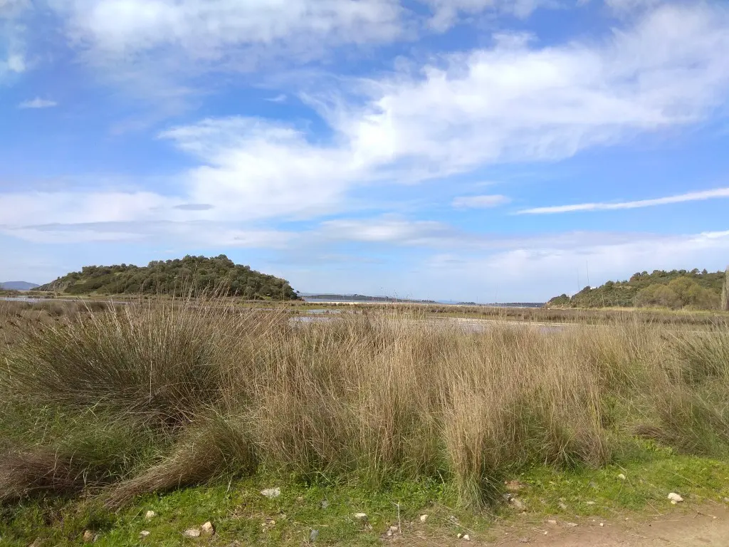 Land Of 2250 M² In Sithonia, Chalkidiki