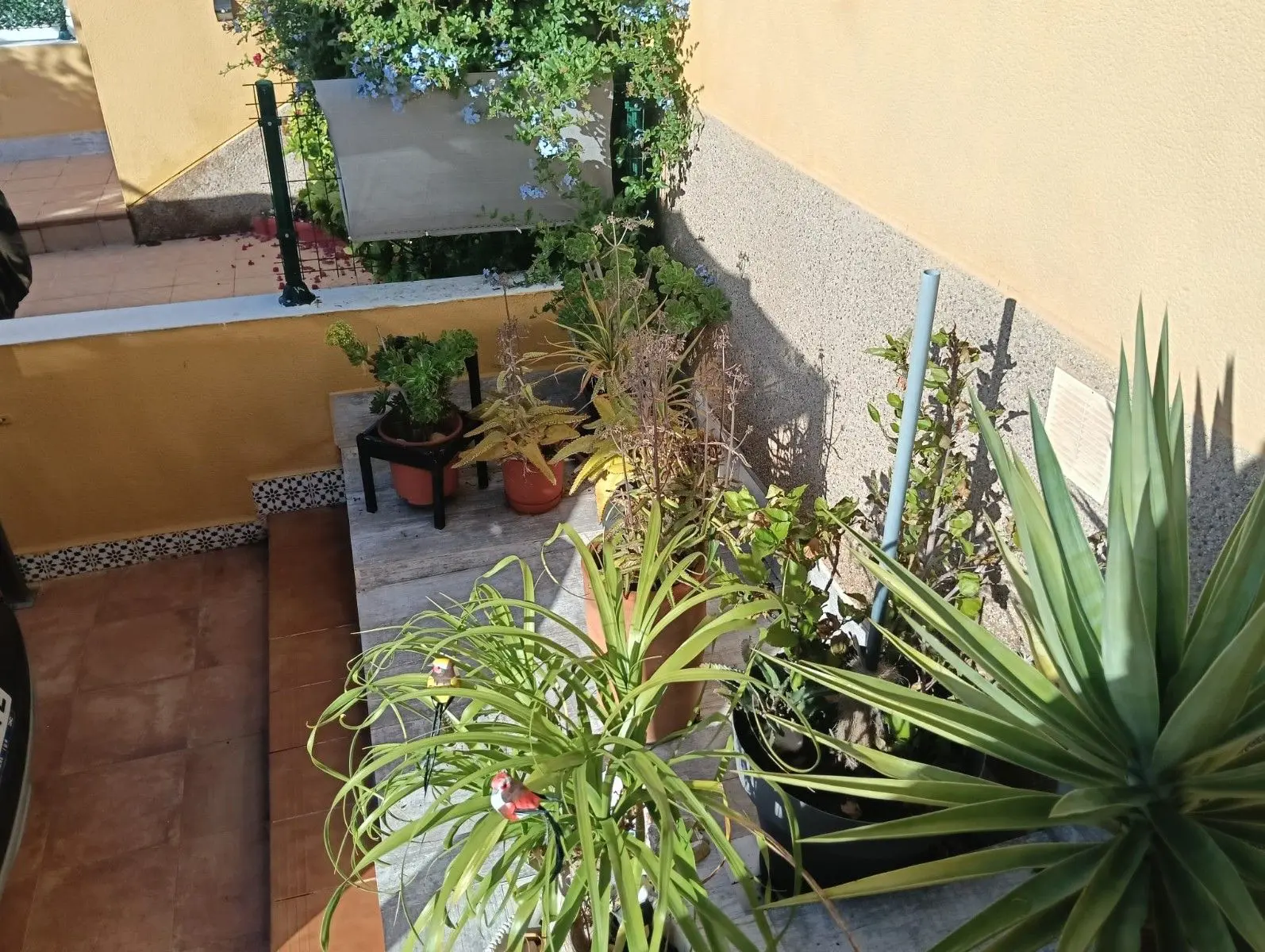 Apartment Of 63 M² In Los Montesinos, Spain