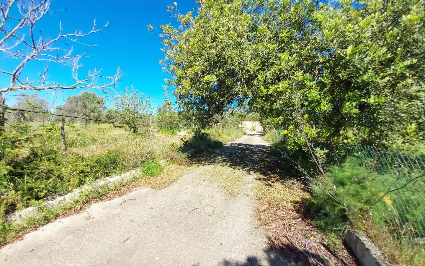 Land In Santa Maria Del Cami, Spain (177 M²)