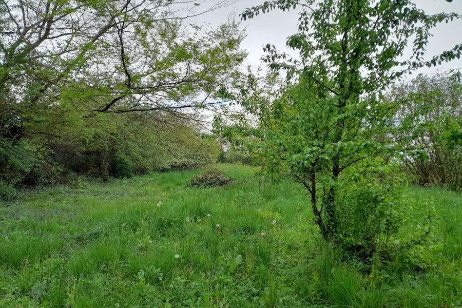 House Of 100 M² In Babócsa, Somogy