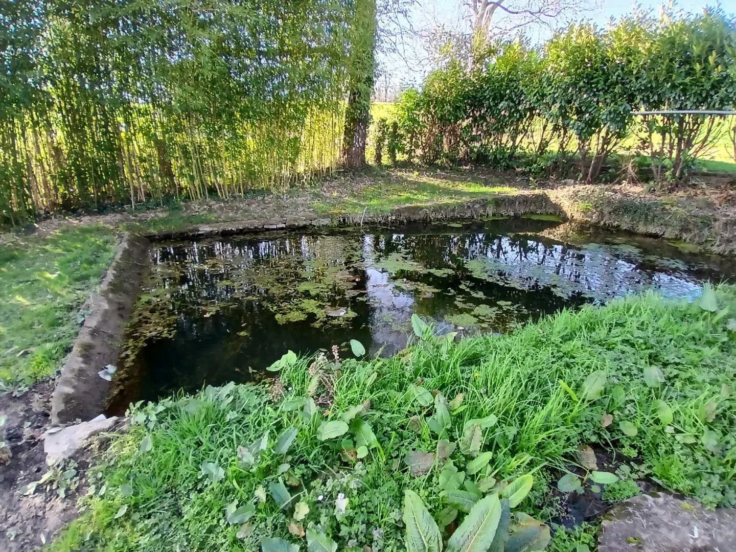 Stone Farmhouse Of X M² With Separate Barn And Mature Gardens In Dordogne