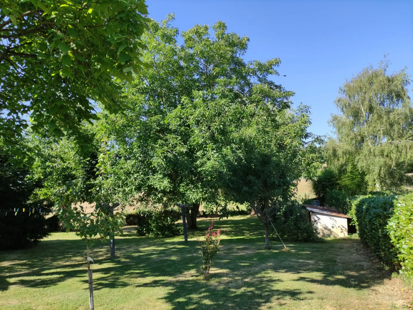 Stone Farmhouse Of X M² With Separate Barn And Mature Gardens In Dordogne