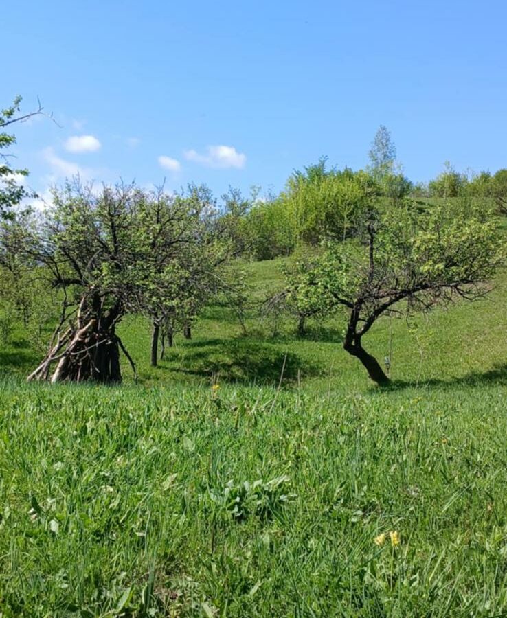Land Of 41,631 M² With Mountain View In Romania