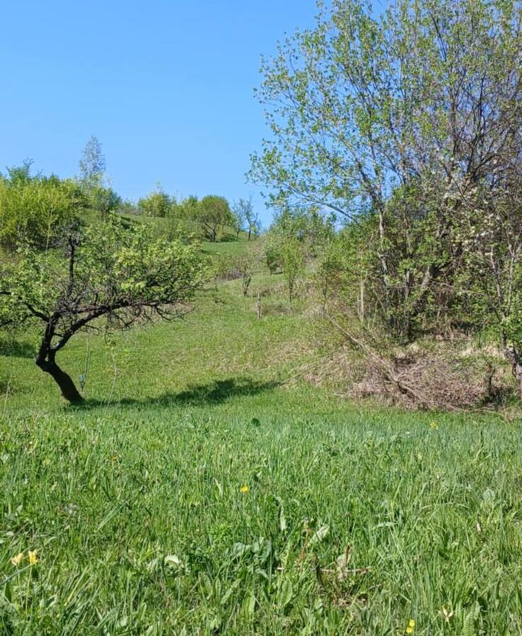 Land Of 41,631 M² With Mountain View In Romania