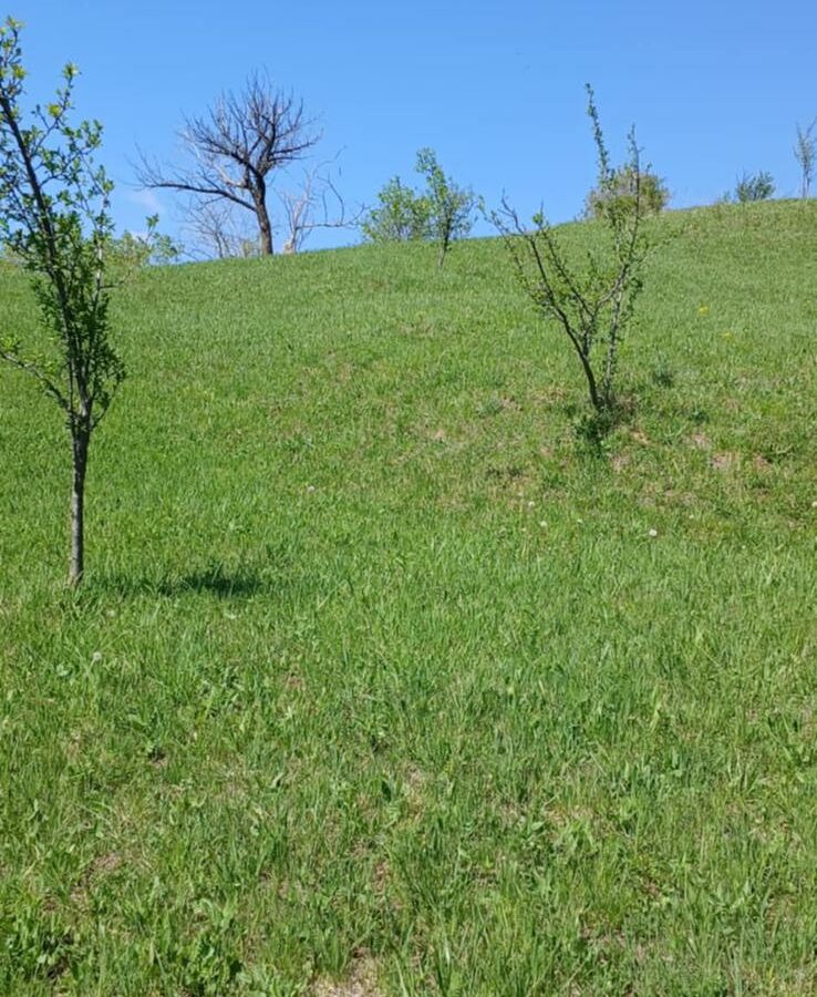 Land Of 41,631 M² With Mountain View In Romania