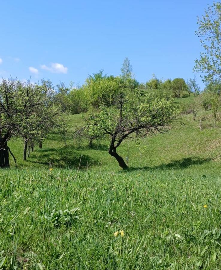 Land Of 41,631 M² With Mountain View In Romania