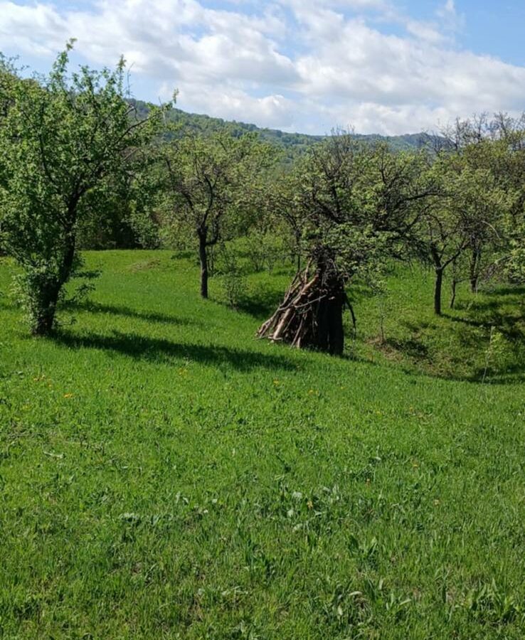 Land Of 41,631 M² With Mountain View In Romania