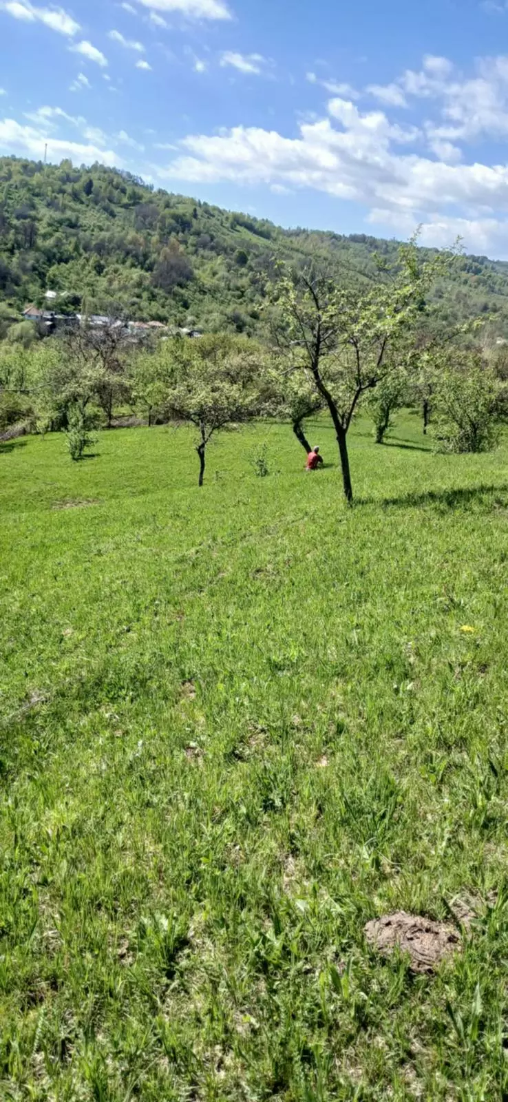 ghicaioana2002