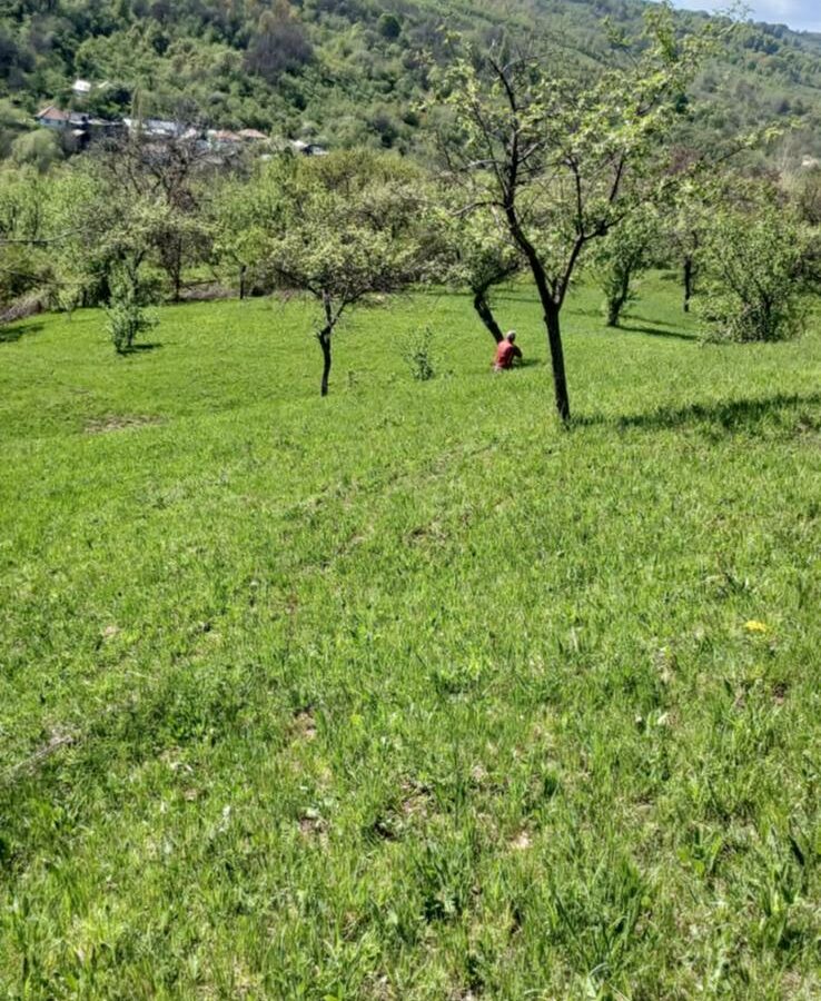 Land Of 41,631 M² With Mountain View In Romania