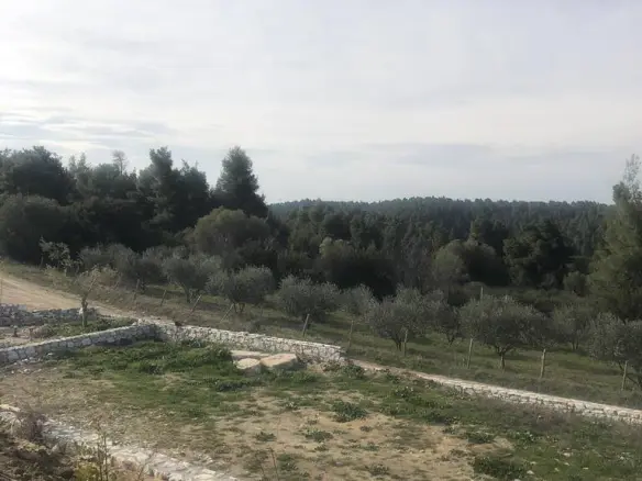 3-bedroom Villa In Kassandra, Greece (220 M²)