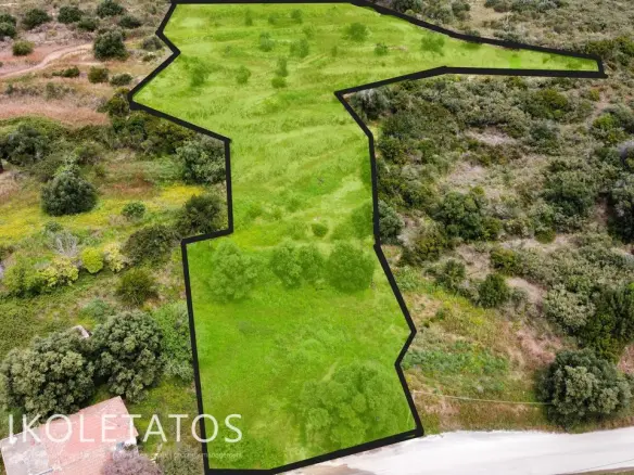Land Of X M² In Ratzakli, Greece