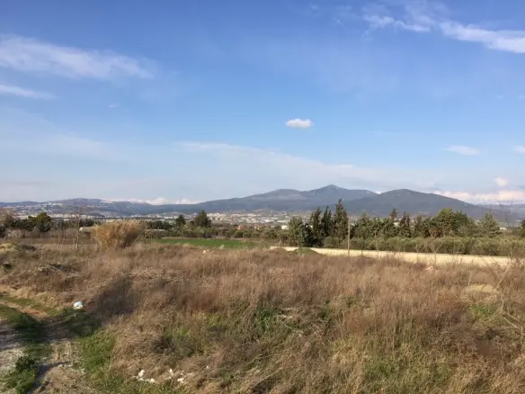 Land In Thermi, Greece