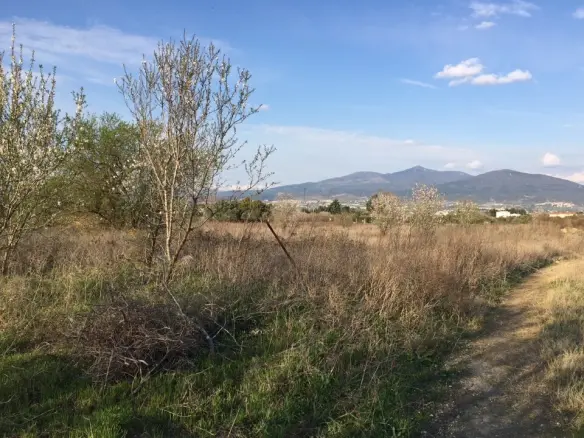 Land In Thermi, Greece