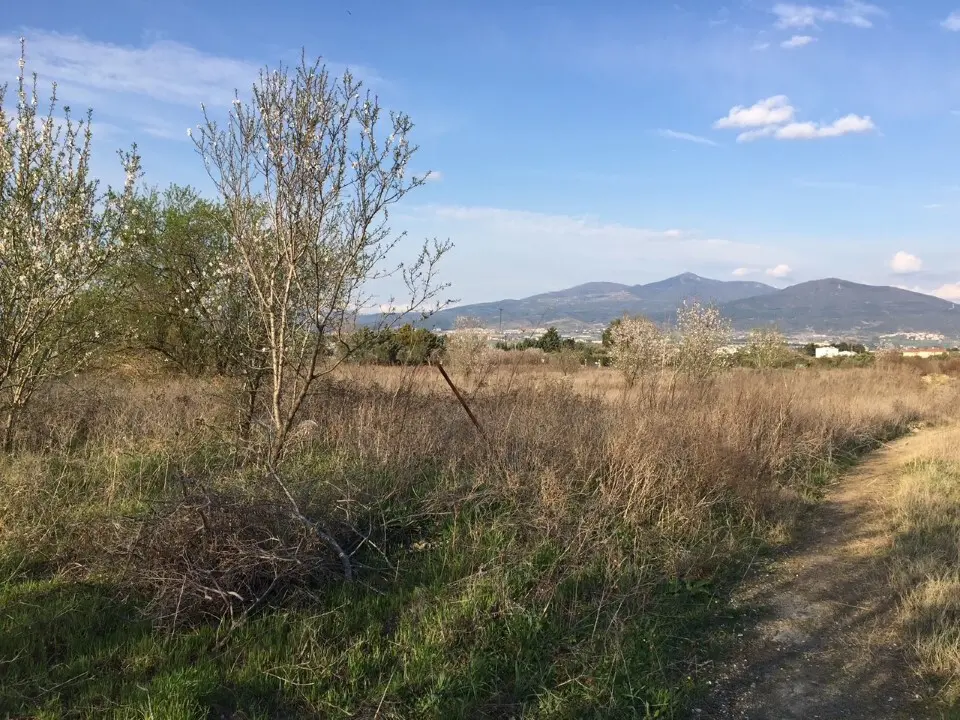 Land Of 14000 M² In The Suburbs Of Thessaloniki