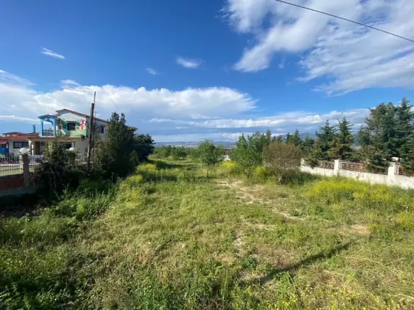 Land In Thermi, Greece