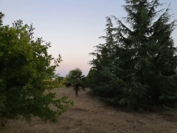 For Sale Land 4350 M² In The Suburbs Of Thessaloniki