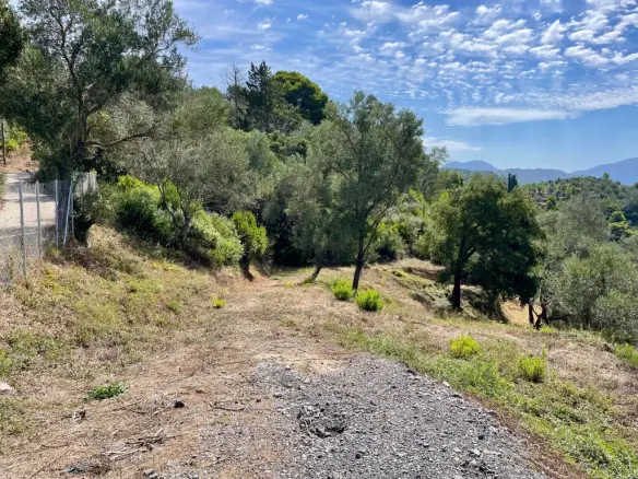 Land Of 8000 M² In Corfu