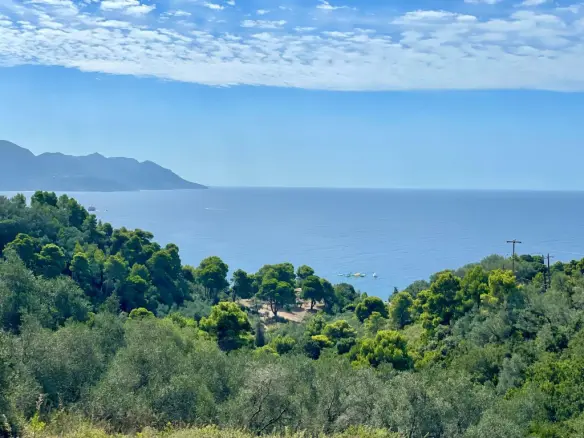Land Of 8000 M² In Corfu