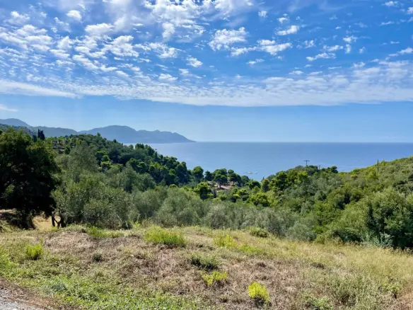 Land Of 8000 M² In Corfu