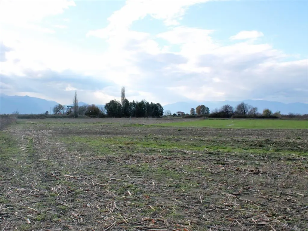 Land Of 8500 M² On The Olympic Coast