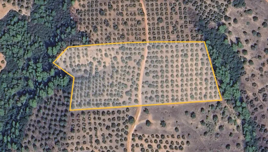 Land Of 27000 M² In Sithonia, Chalkidiki