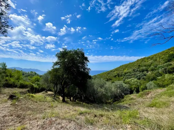 Land Of 8000 M² In Corfu