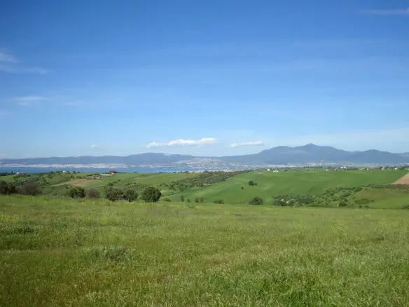 Land Of 4100 M² In The Suburbs Of Thessaloniki