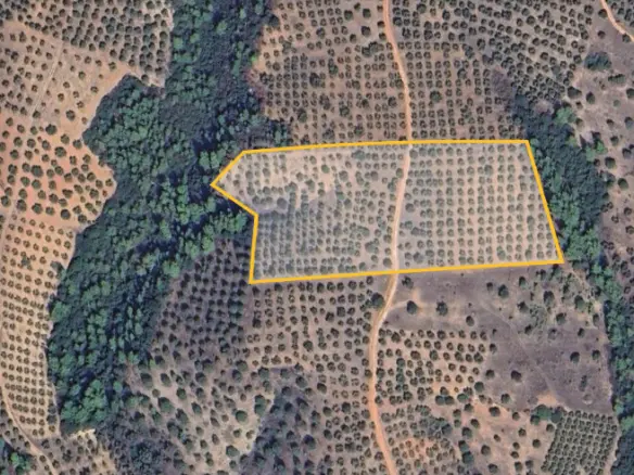 Land In Sithonia, Greece