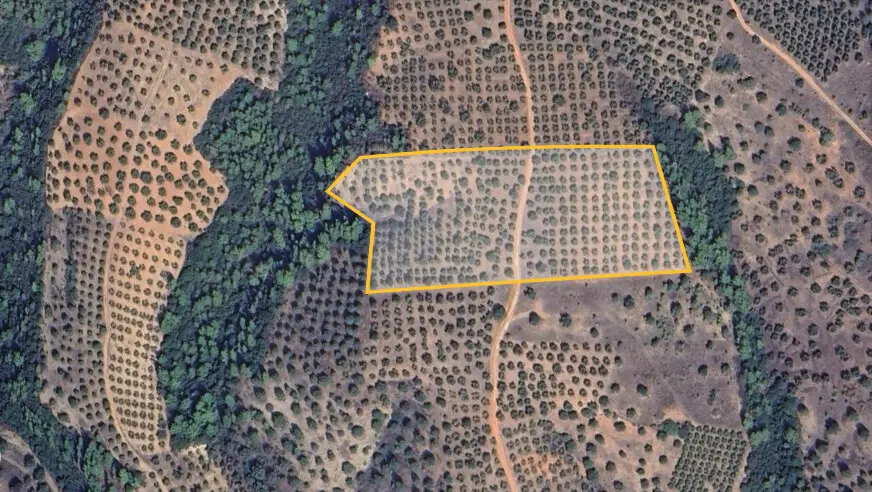 Land Of 27000 M² In Sithonia, Chalkidiki