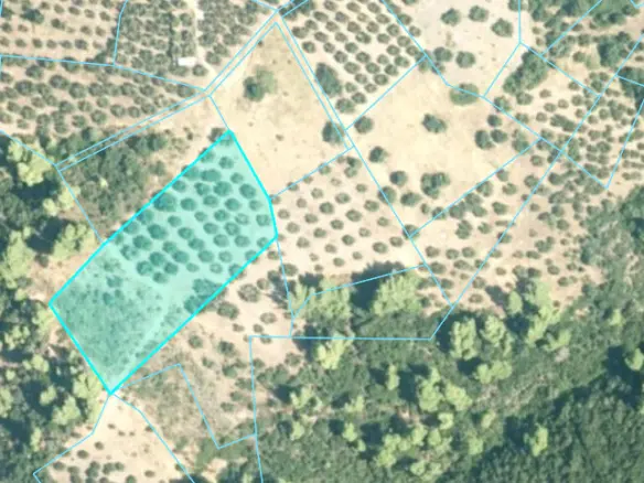 Land Of 4903 M² In Sithonia, Chalkidiki