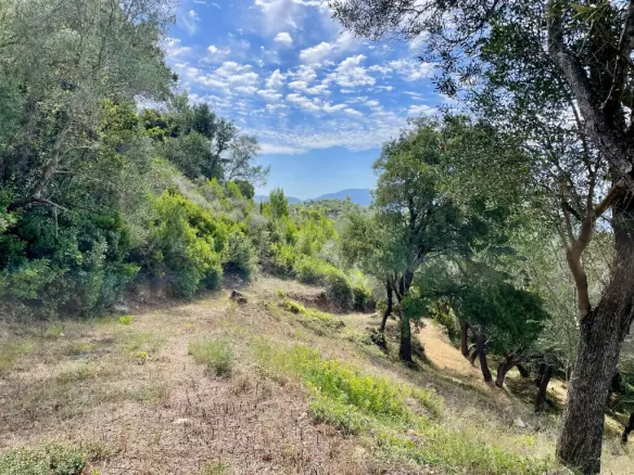 Land Of 8000 M² In Corfu