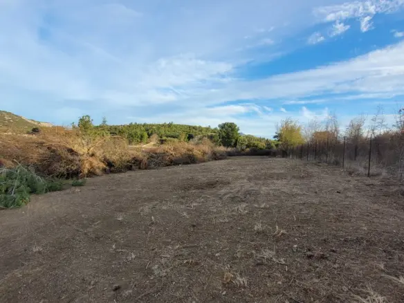 Land In Chortiatis, Greece