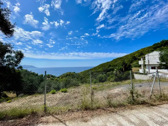 Land Of 8000 M² In Corfu